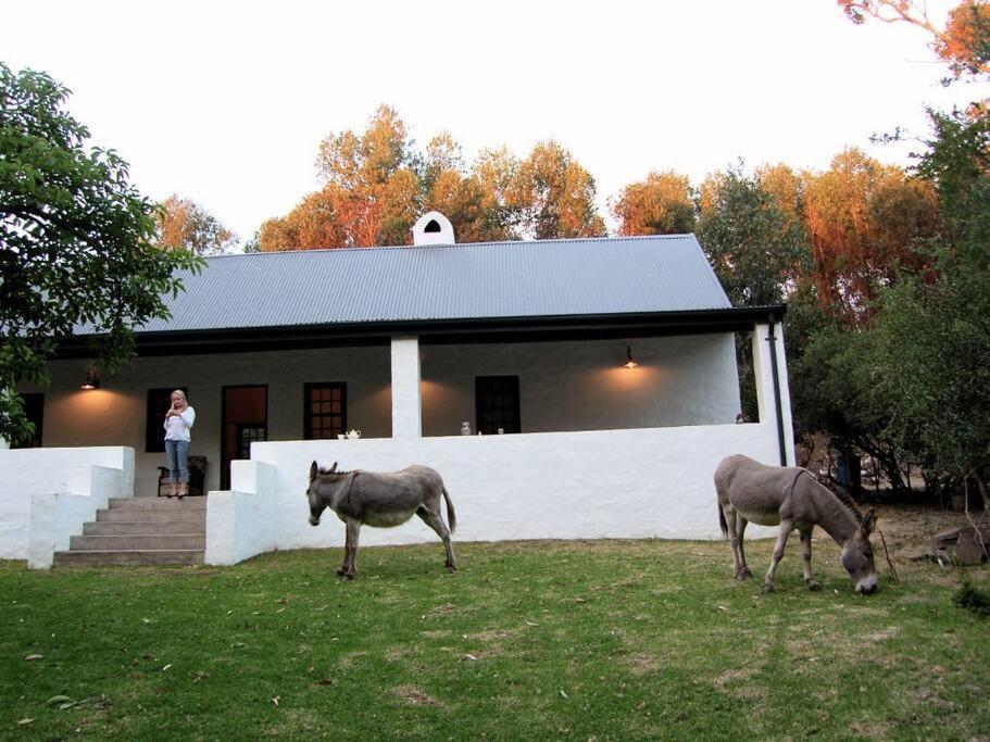 The Little Farmhouse Станфорд Экстерьер фото